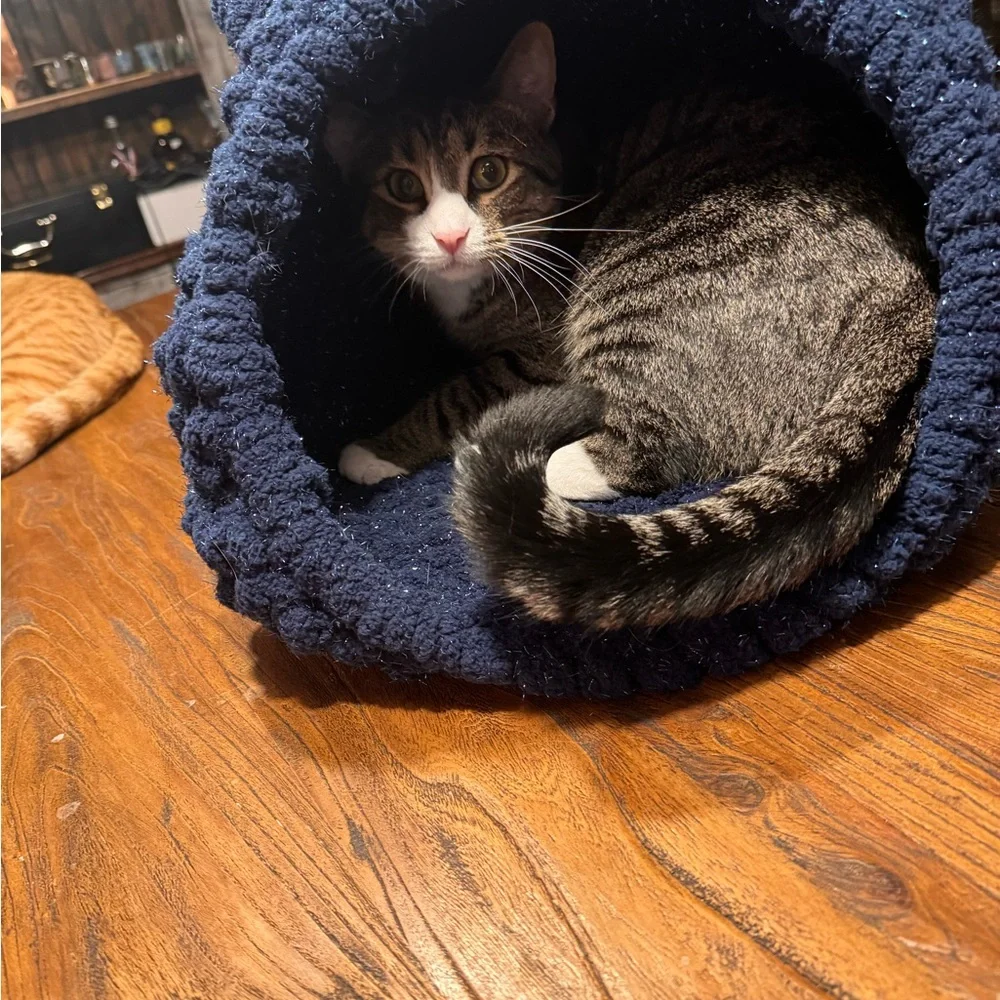 Sparkling Skies Cat Cave
